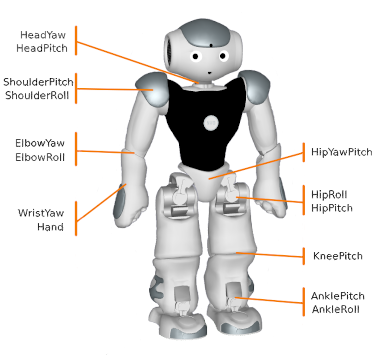 Image of NAO V6 degrees of freedom